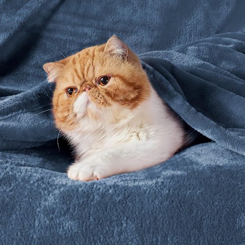 Bedsure GentleSoft Fleece Blanket - Soft, Lightweight, Plush Queen Size in Mineral Blue | 90x90 Inches