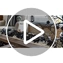 9ft Pre-Lit Black Maple Leaf Halloween Garland with Lights for Mantle