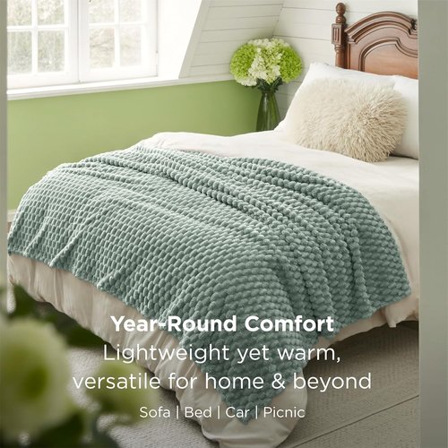 Bedsure Queen Size Blanket - Fluffy Plush Bubble Fleece for Cozy Home Decor | Sage Green, 90x90 Inches