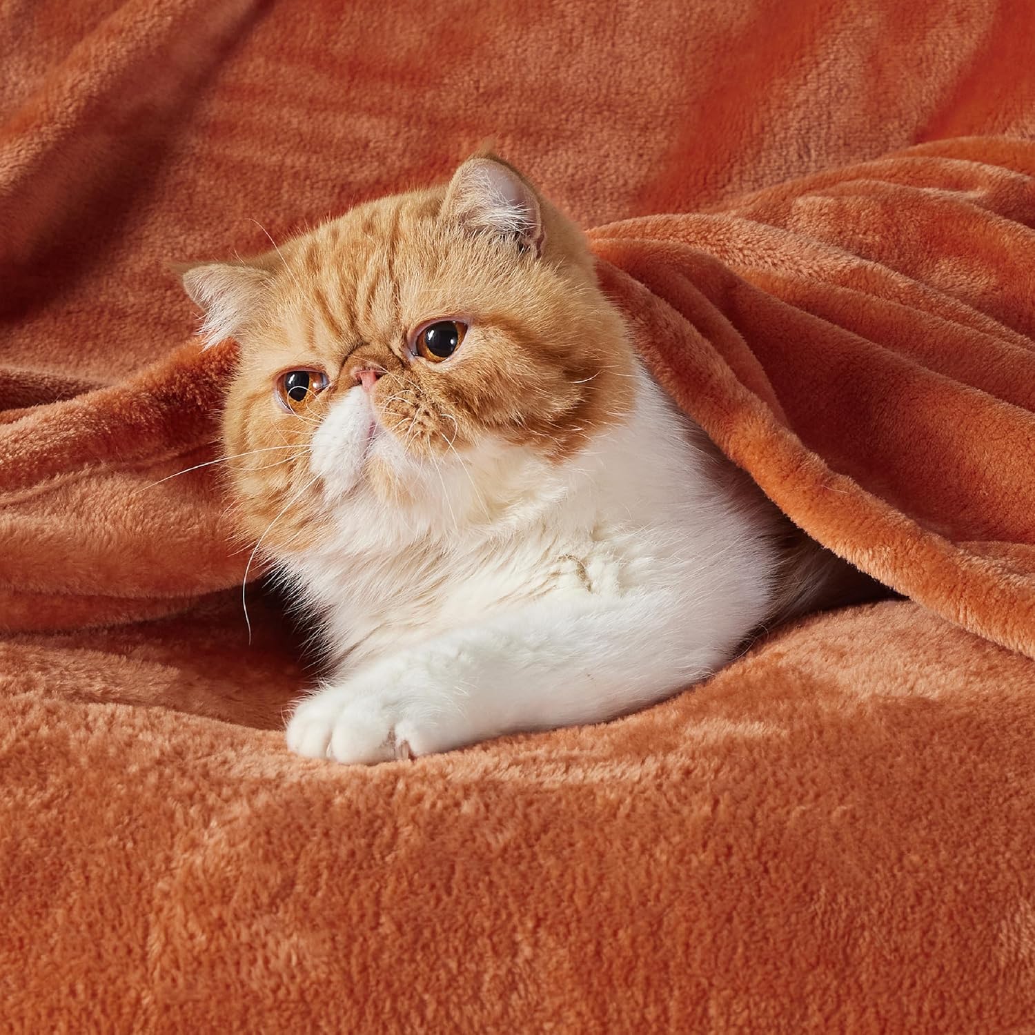 Bedsure GentleSoft Fleece Blanket - Cozy Small Throw for Kids, 43x55 Inches, Dark Orange
