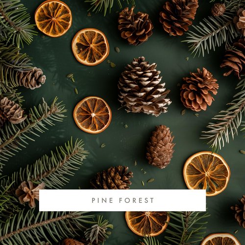 ScentAir Whisper Home Monthly Plug-in Refill, Fragrance Cartridge for Home and Office, Pine Forest