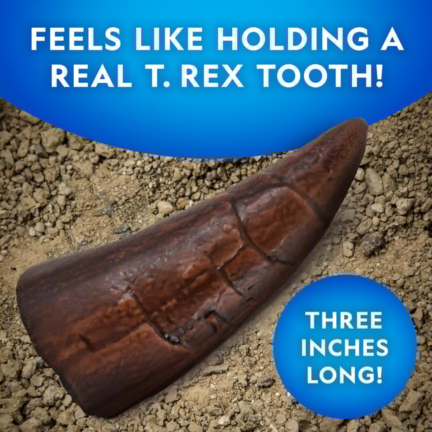 National Geographic Dino Fossil Dig Kit - Excavate Replica Dinosaur Tooth Fossil & Activity Book for Kids