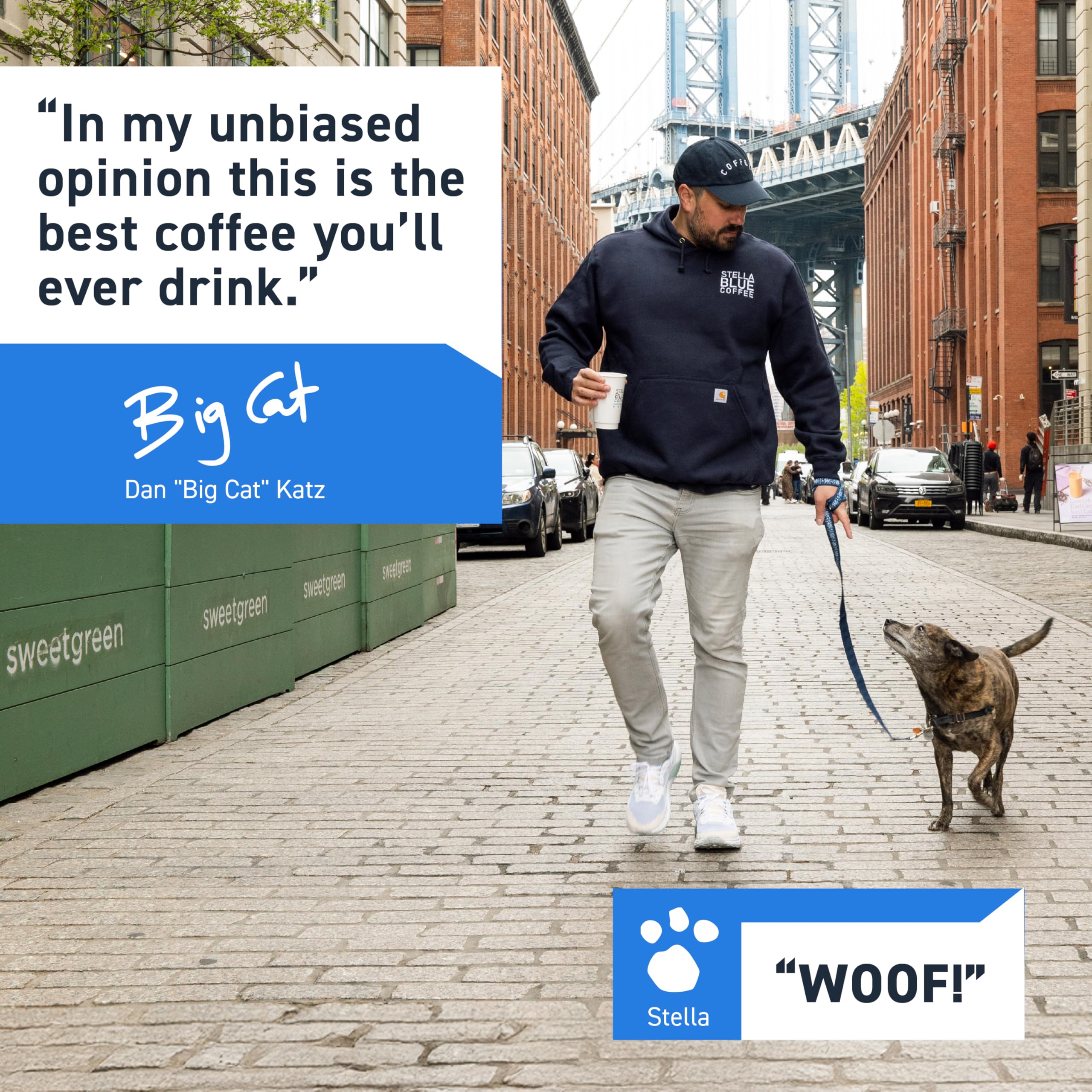 Stella Blue Whole Bean Coffee, Big Cat Blend, Medium Roast Caramel Hazelnut, Fruity Notes 100% Arabica Beans, Ethically Sourced from Central and South America, Smooth Balanced, 12oz Bag