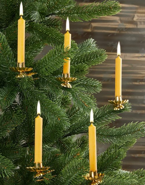 BRUBAKER 100% Beeswax Tree Candles - Honey Colored - Pack of 20 - 3¾ x ½ Inches (9.5 x 1.27cm) - European Made