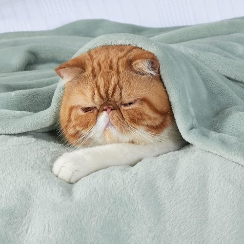 Bedsure GentleSoft Fleece Bed Blanket - Soft, Lightweight, Plush Luxury in Sage Green | 84x90 Inches