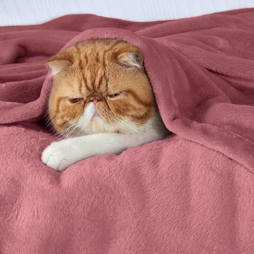 Bedsure GentleSoft Fleece Bed Blanket - Soft, Lightweight, Cozy Queen Size in Dusty Rose | 90x90 Inches