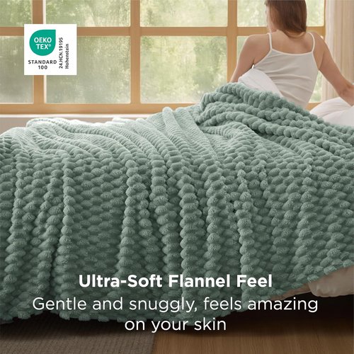 Bedsure Queen Size Blanket - Fluffy Plush Bubble Fleece for Cozy Home Decor | Sage Green, 90x90 Inches
