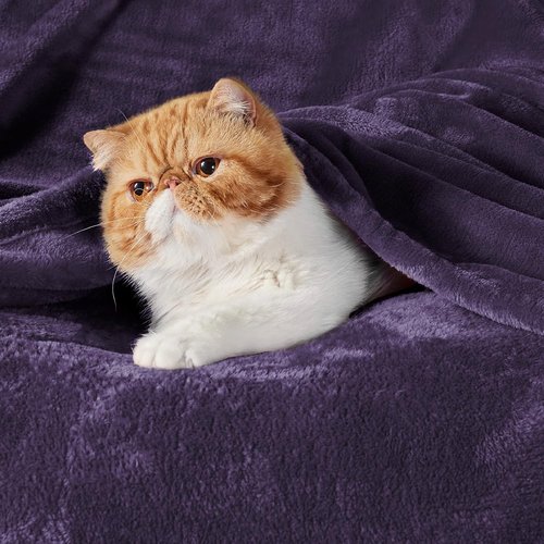 Bedsure GentleSoft Fleece Bed Blanket - Oversized Luxury Microfiber in Purple, 120x120 Inches for Cozy Home Decor