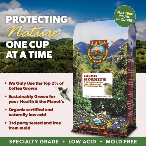 Low Acid Organic Coffee – Whole Bean, Mold-Free & Stomach Friendly by Java Planet, Good Morning Blend Coffee, Medium Roast, Smooth Full Flavored, 2x1LB Bag