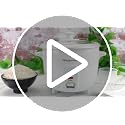 Electric Rice Cooker with Keep Warm & Removable Pot, 6-Cup Cooked, White