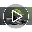 Faux Bonsai Tree with Pot - 9.5-Inch Indoor Decor