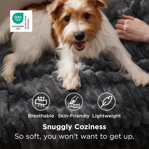Bedsure GentleSoft Twin Blanket - Cozy Grey Fleece Throw for Couch, Perfect for Women & Girls, 60x80 Inches