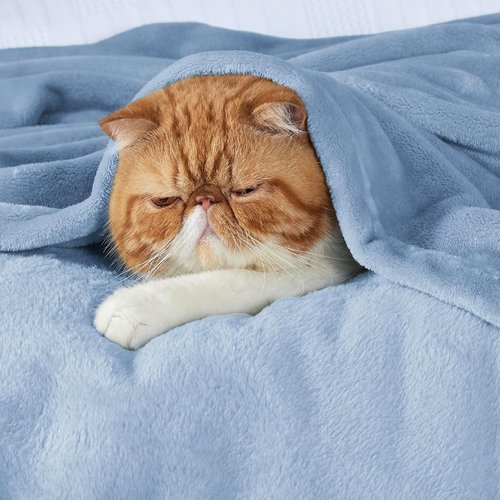 Bedsure Fleece Throw Blanket - Lightweight Plush Cozy Soft Blanket for Couch, Light Blue, 50x70 Inches
