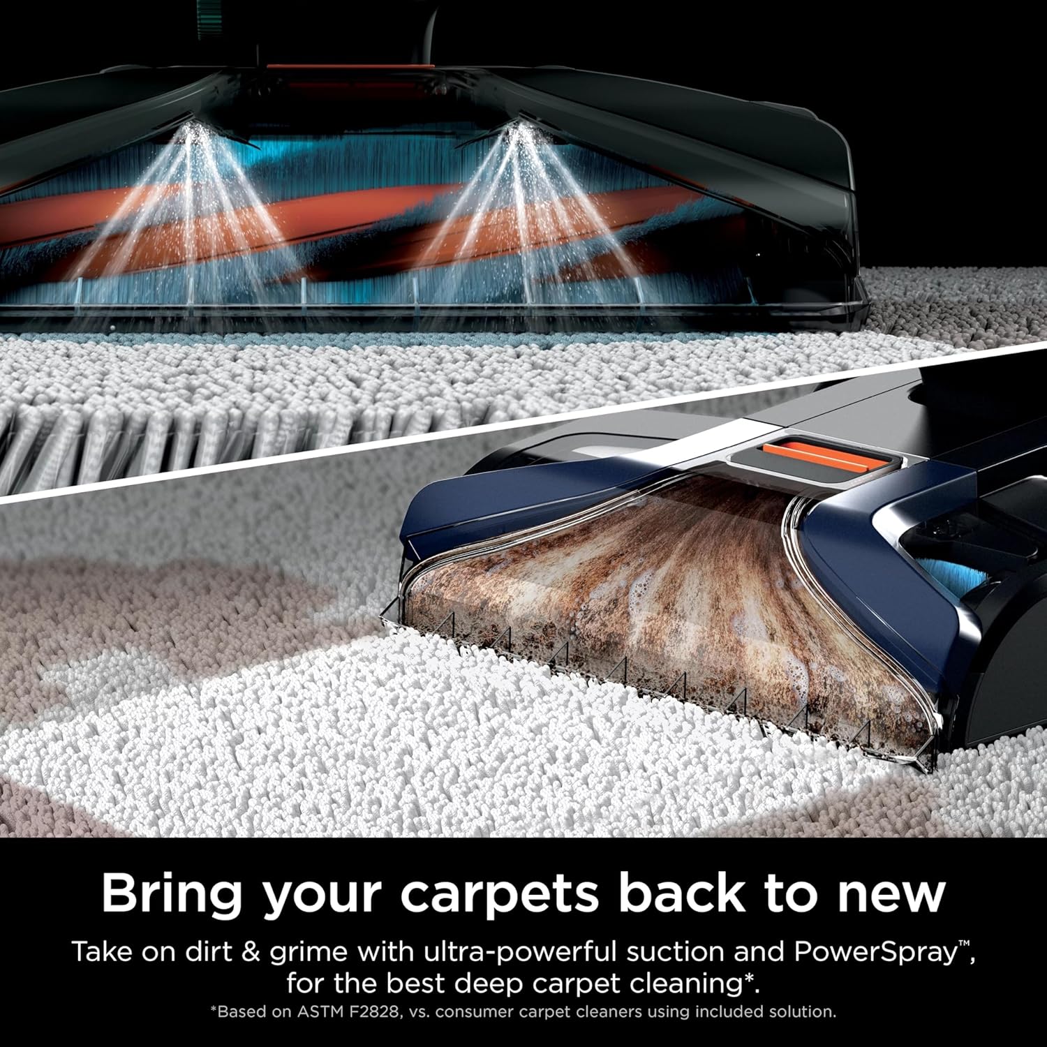 Shark CarpetXpert Upright Carpet & Upholstery Cleaner - Stain Striker Technology | Navy