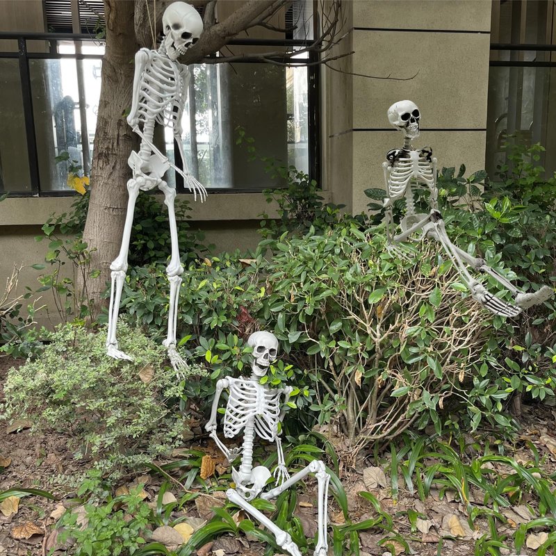 IDMOP 5.4ft/165cm Halloween Skeleton - Life Size Skeleton Full Body Realistic Human Bones with Posable Joints for Halloween Pose Skeleton Prop Decoration (5.4Ft&3Ft)