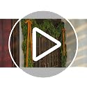 Waydress 9 ft Christmas Cedar Garland – Realistic Faux Greenery, 1 Pcs