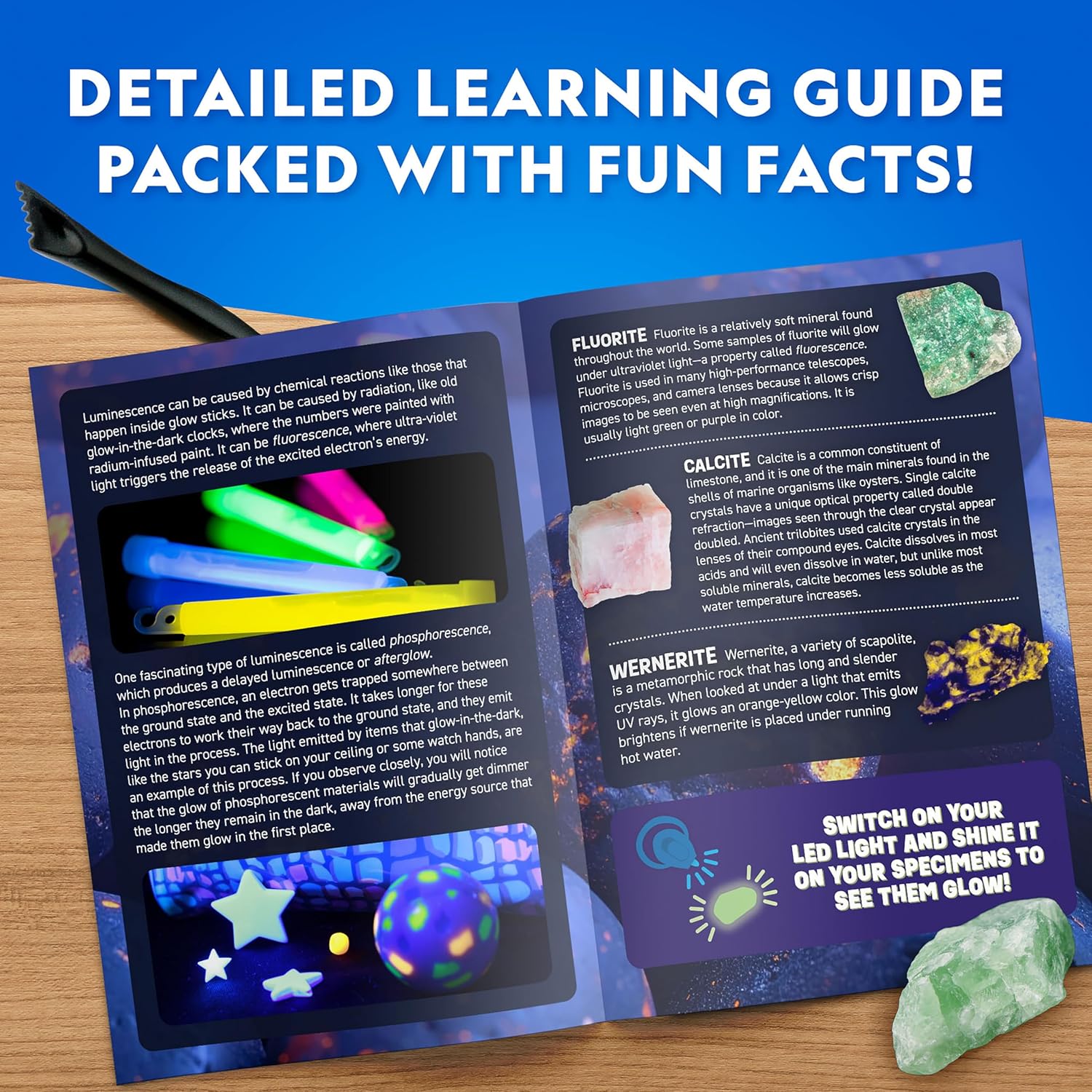 National Geographic Glow In The Dark Dig Kit - Excavate 6 Glowing Rocks & Dinosaurs | STEM Science Fun for Kids