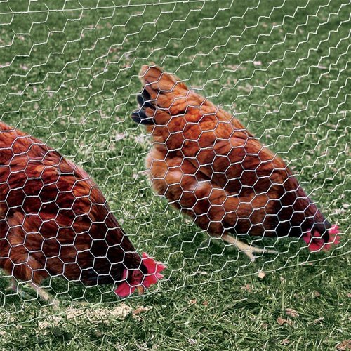 YARDGARD Chicken Wire 2 Inch Mesh 36 Inch X 150 Foot 20 Gauge Galvanized Steel Wire Fence Ideal for Crafting, Garden Protection, Bird Enclosures, Chicken Coops, Poultry Netting and Rabbit Fencing