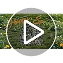 2-Piece Botanical Anti-Fatigue Kitchen Mat Set, Waterproof PVC Standing Rugs