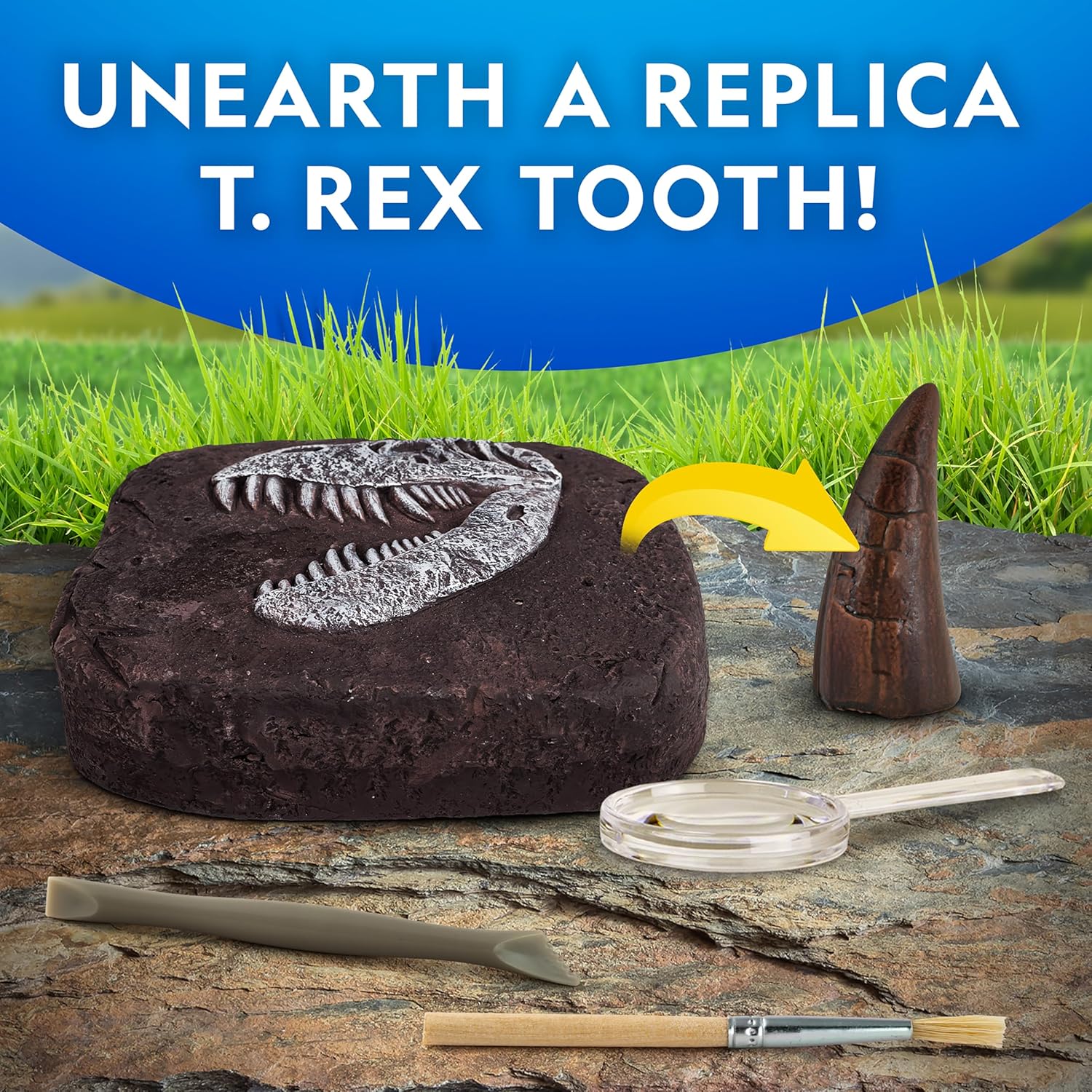 National Geographic Dino Fossil Dig Kit - Excavate Replica Dinosaur Tooth Fossil & Activity Book for Kids