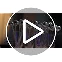 Sawysine 24 Pcs Transparent Disco Ball Cocktail Drink Stirrer with Mirror Design