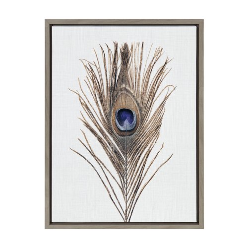 Kate and Laurel Sylvie Peacock Feather Framed Canvas Wall Art by Simon Te of Tai Prints; 18x24 Gray; Soft Animal Bird Feather Art for Wall