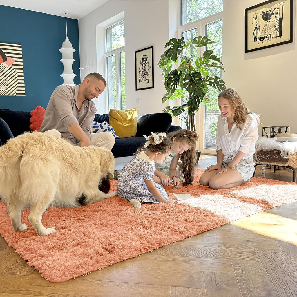 OLANLY Large Area Rug - Soft Fluffy Shaggy Carpet for Living Room & Bedroom | 9x12, Muted Orange