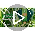 60 Pcs Citronella Mosquito Repellent Sticks - Natural Plant-Based Protection