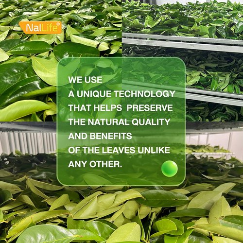 NalLife Soursop Tea Bags 50 Count Tea from 100% Soursop Leaves Caffeine Free No Sugar Added