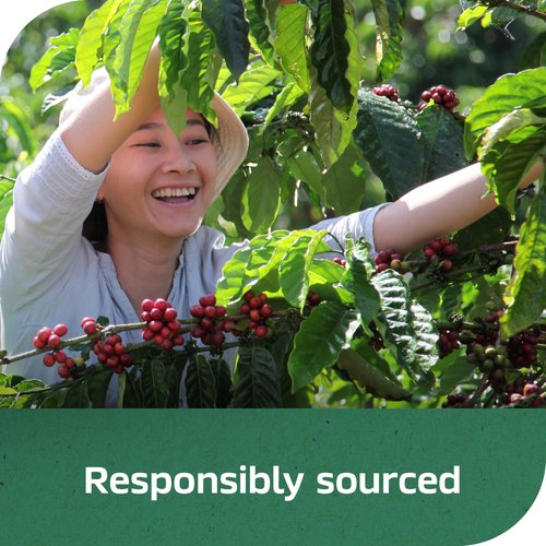 NESCAFÉ Taster's Choice Instant Coffee Packets, Light Medium Roast Coffee, Decaf House Blend, 8 Boxes (128 Packets)