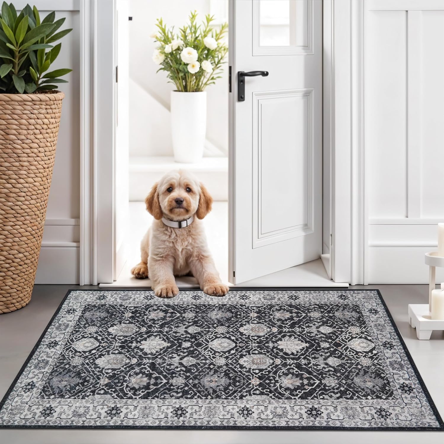 Skiennix Washable 2x3 Entryway Area Rug - Vintage Soft Non-Slip Backing, Water-Resistant Carpet (Black)
