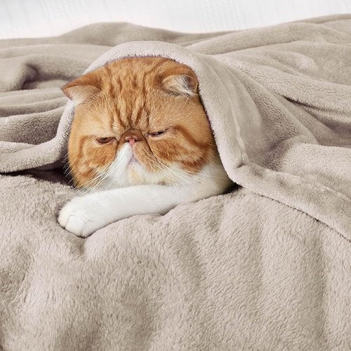 Bedsure GentleSoft Fleece Blanket - King Size Plush Cozy Microfiber in Oxford Tan, 108x90 Inches