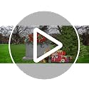 Christmas Cemetery Saddle Flowers 20in Roses & Red Berries for Headstones