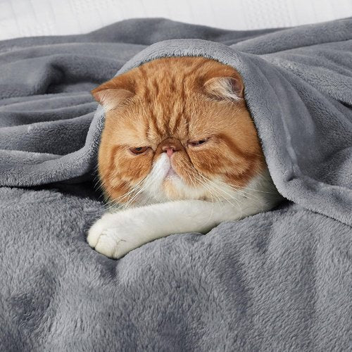 Bedsure Fleece Bed Blanket - Soft, Lightweight Plush Luxury | Queen Size, 90x90 Inches