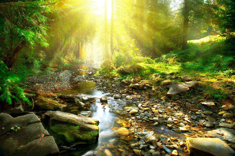 Art.com Wall Art Prints Mountain River With, Forest Landscape. Tranquil Waterfall Scenery in the Middle of Green Forest by Subbotina Anna, Scenic Decor, 24" x 16"