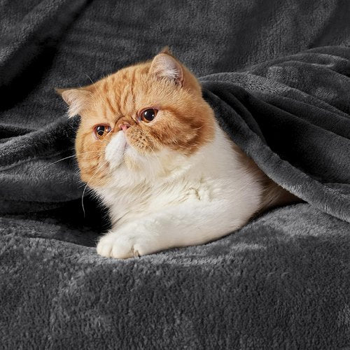 Bedsure GentleSoft Fleece Blanket - Cozy Lightweight Plush California King Size Charcoal, 102x96 Inches