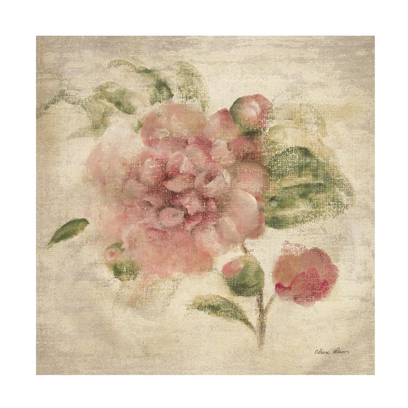 Trademark Fine Art Canvas Wall Art - Cheri Blum 'Dusty Pink Rose on Antique Linen Light' Wall Art for Living Room, Bedroom, or Office Décor