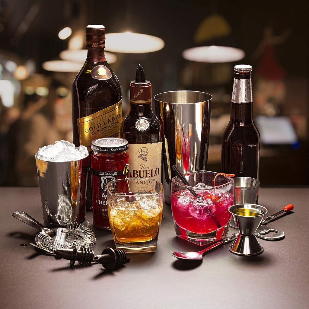 Skiennix Cocktail Shaker Set - 16-Piece Stainless Steel Mixology Kit with Bar Tools & Recipe Book | Silver