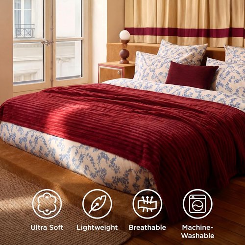 Bedsure GentleSoft Queen Blanket - Cozy Scarlet Sage Throw for Couch, Perfect for Women & Girls, 90x90 Inches