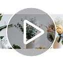 10 Pcs Natural Dried Eucalyptus Stems - 17 Inch Branches for Shower