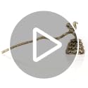 Pinecone Squirrel Candle Snuffer with Long Handle - Retro Style