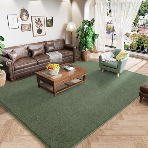 Amearea Area Rug - Thickened Memory Foam, Fluffy & Washable - 4x6 Feet Sage Green for Kids & Living Room