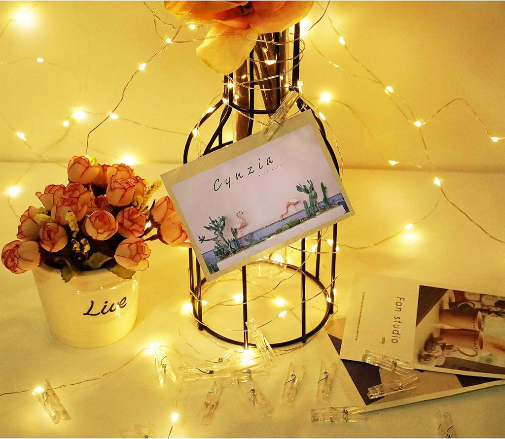 Skiennix 100 LED Photo Clip String Lights - USB Powered Fairy Lights with 50 Clear Clips for Weddings & Decor