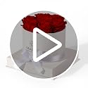 Preserved Pink Roses in a Box - Real Eternal Flowers Gift Set
