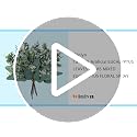 10 Pcs Artificial Eucalyptus Stems, Mixed Faux Greenery for Wedding Decor