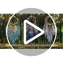 LED Moon Dream Catcher with Lights - Handmade Boho Bedroom Wall Decor