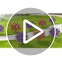 2-Pack UV Resistant Artificial Topiary Ball Trees with Ground Stakes