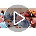 16 Pcs Velvet Pumpkins Set - Decorative Fabric Artificial Fall Pumpkins