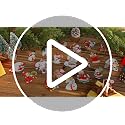 MorningRo Fresh 20 Pcs Tropical Christmas in July Metal Tree Ornaments - Beach Santa Flamingos Coconut Decor