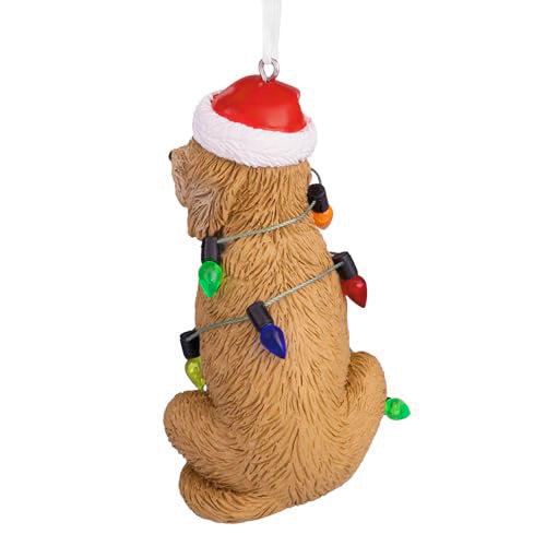 Hallmark Dog Christmas Ornament with Lights - Festive Ornament (Variation: Dog with Lights)